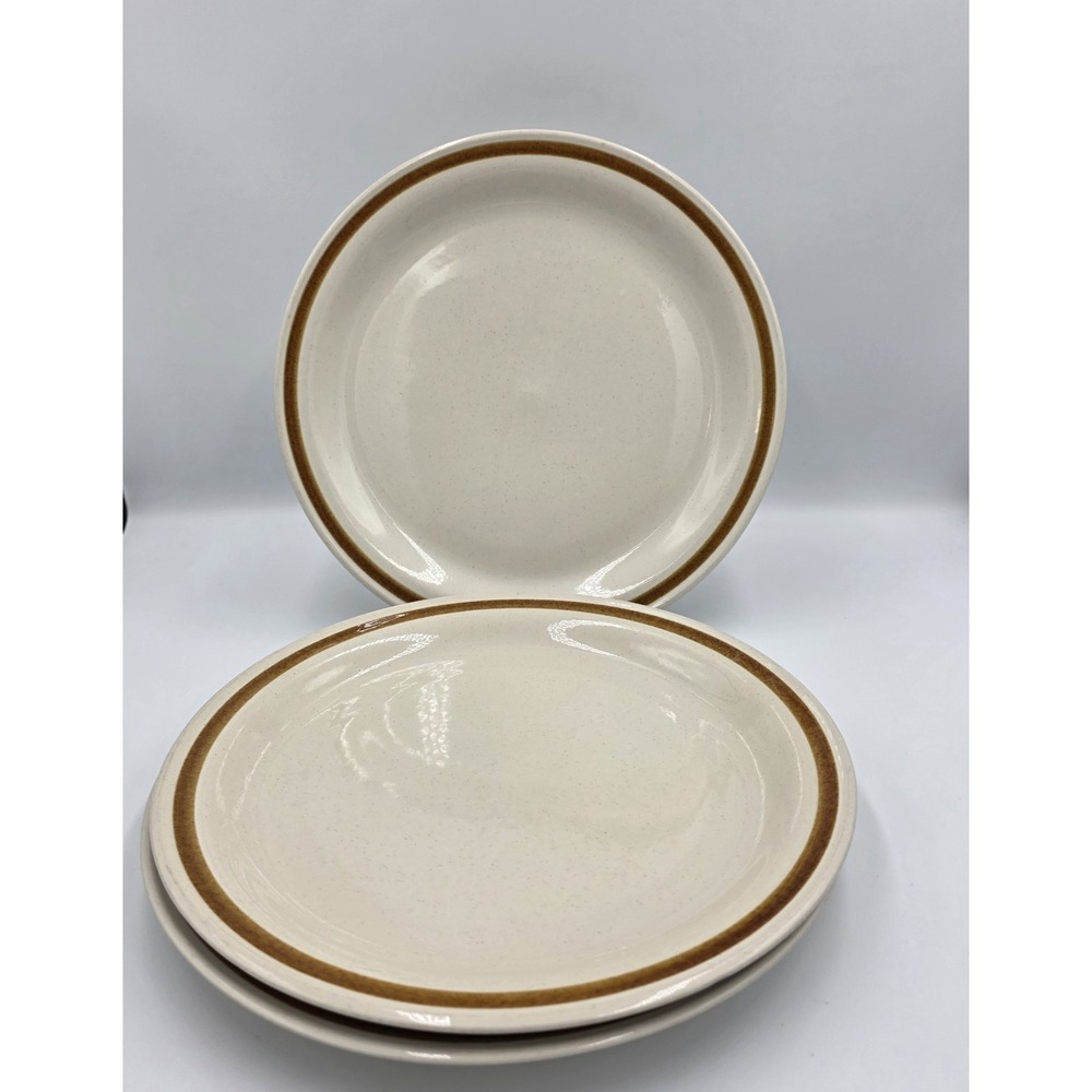 3~ Mountain Wood Collection Vanilla Spice 10.5" Stoneware Dinner Plates Vintage